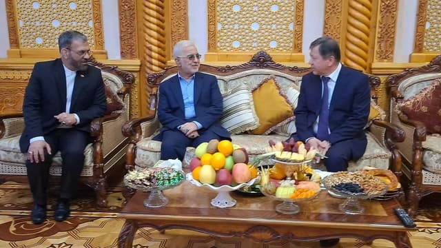 وزیر کشور وارد جمهوری تاجیکستان شد